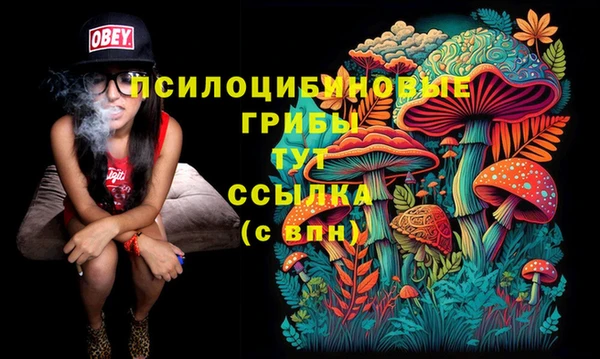 молекула духа Верхнеуральск