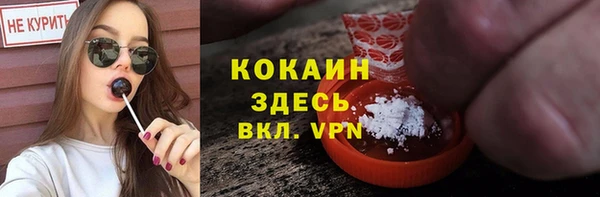 дживик Верхний Тагил