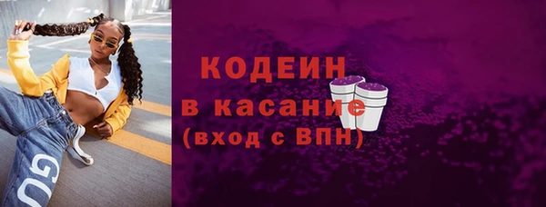 дживик Верхний Тагил