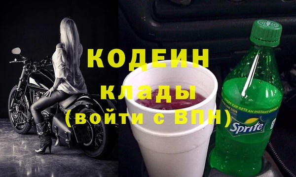 дживик Верхний Тагил