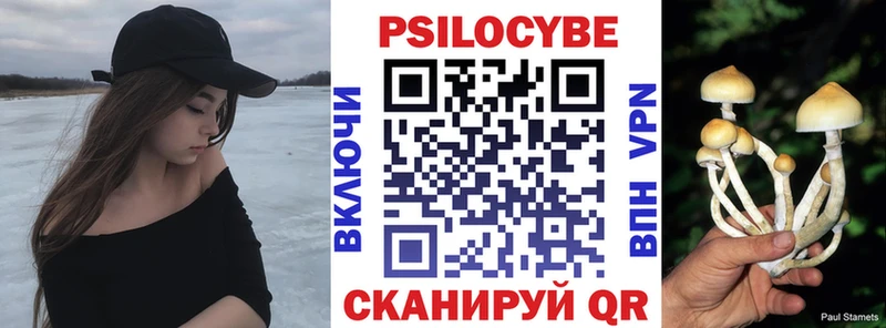Псилоцибиновые грибы мицелий  Партизанск 